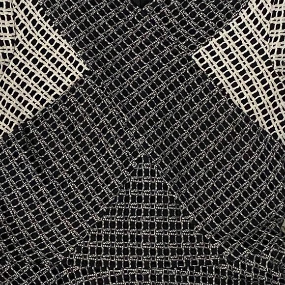 BCBGMaxazria Elyze Lace-blocked Fit & Flare Dress - Picture 5 of 8